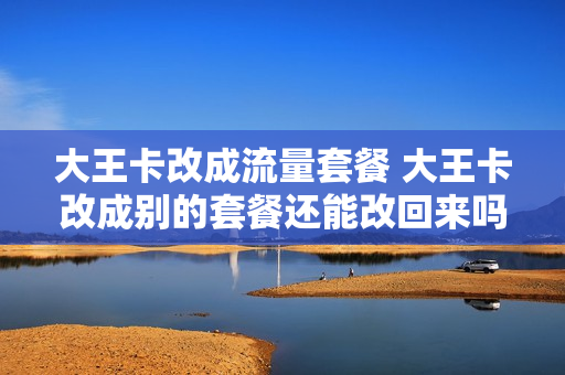 大王卡改成流量套餐 大王卡改成别的套餐还能改回来吗
