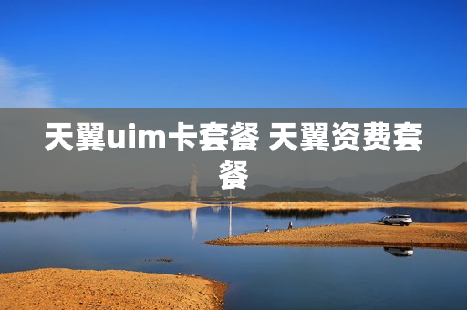 天翼uim卡套餐 天翼资费套餐