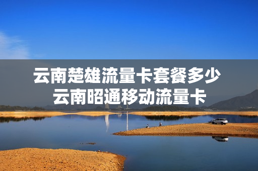 云南楚雄流量卡套餐多少 云南昭通移动流量卡