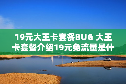 19元大王卡套餐BUG 大王卡套餐介绍19元免流量是什么意思