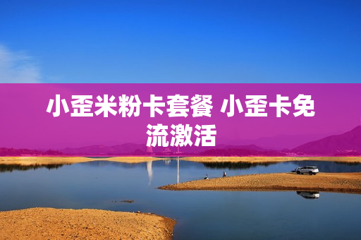 小歪米粉卡套餐 小歪卡免流激活