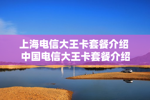 上海电信大王卡套餐介绍 中国电信大王卡套餐介绍