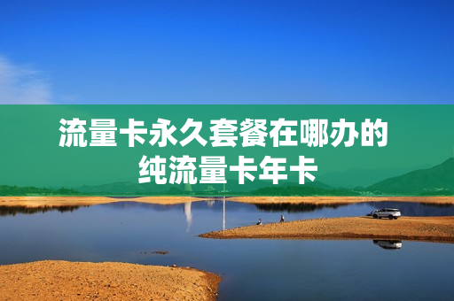 流量卡永久套餐在哪办的 纯流量卡年卡