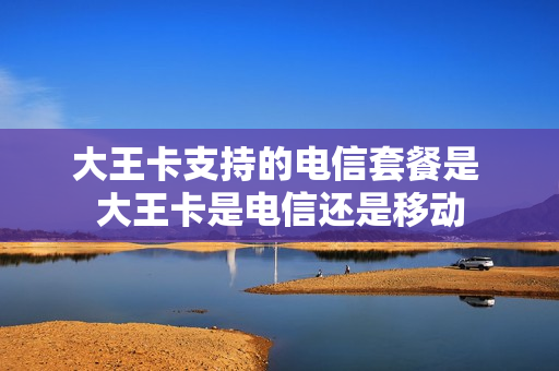大王卡支持的电信套餐是 大王卡是电信还是移动