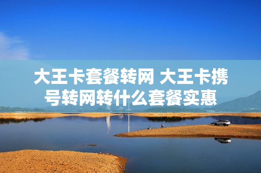 大王卡套餐转网 大王卡携号转网转什么套餐实惠