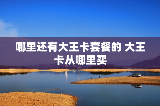 哪里还有大王卡套餐的 大王卡从哪里买