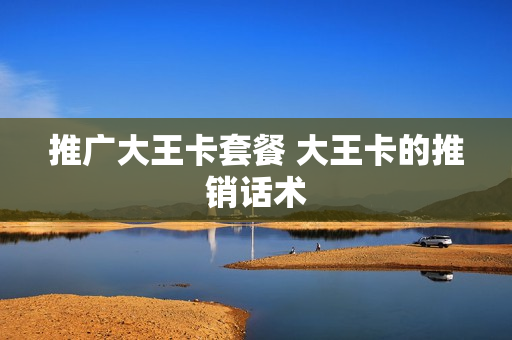 推广大王卡套餐 大王卡的推销话术