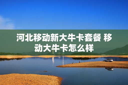 河北移动新大牛卡套餐 移动大牛卡怎么样
