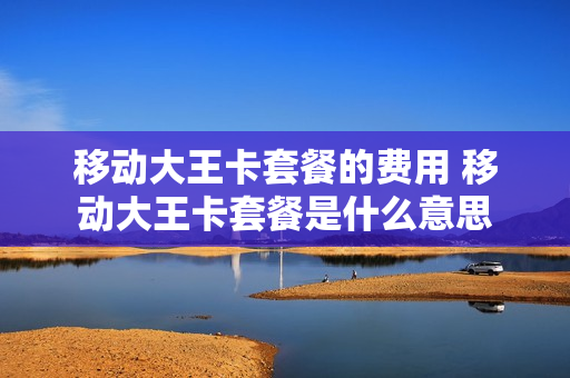 移动大王卡套餐的费用 移动大王卡套餐是什么意思