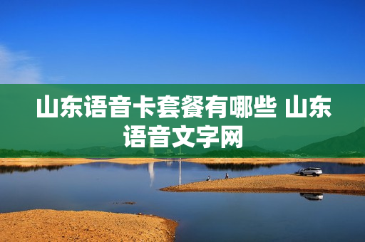 山东语音卡套餐有哪些 山东语音文字网
