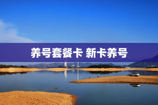养号套餐卡 新卡养号