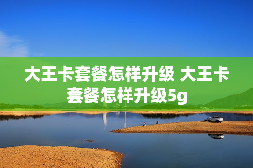 大王卡套餐怎样升级 大王卡套餐怎样升级5g
