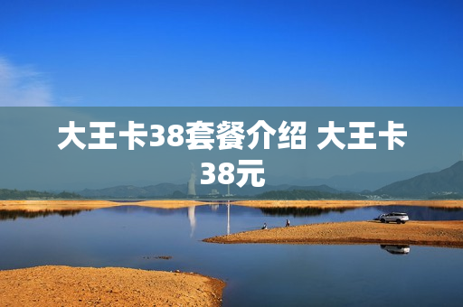 大王卡38套餐介绍 大王卡38元