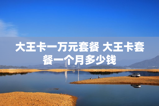 大王卡一万元套餐 大王卡套餐一个月多少钱