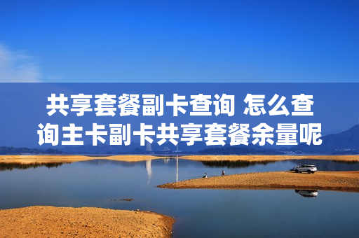 共享套餐副卡查询 怎么查询主卡副卡共享套餐余量呢