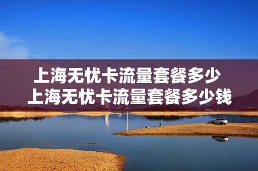 上海无忧卡流量套餐多少 上海无忧卡流量套餐多少钱