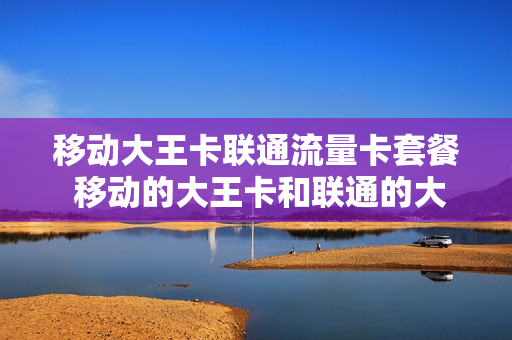 移动大王卡联通流量卡套餐 移动的大王卡和联通的大王卡区别