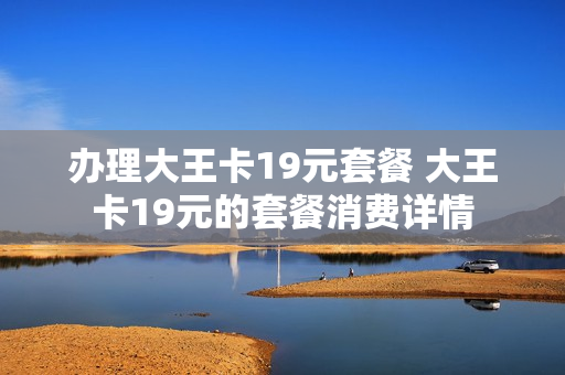办理大王卡19元套餐 大王卡19元的套餐消费详情
