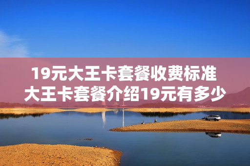 19元大王卡套餐收费标准 大王卡套餐介绍19元有多少流量