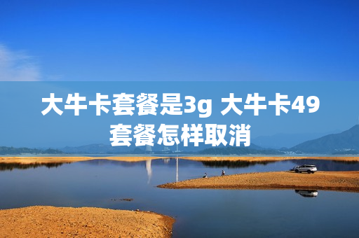 大牛卡套餐是3g 大牛卡49套餐怎样取消