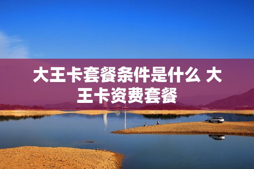 大王卡套餐条件是什么 大王卡资费套餐