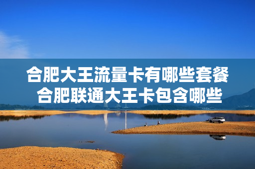 合肥大王流量卡有哪些套餐 合肥联通大王卡包含哪些