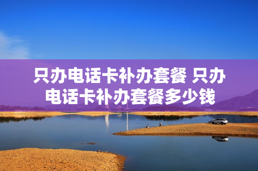 只办电话卡补办套餐 只办电话卡补办套餐多少钱