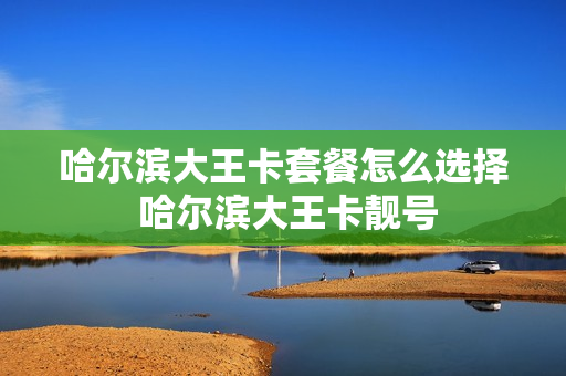 哈尔滨大王卡套餐怎么选择 哈尔滨大王卡靓号
