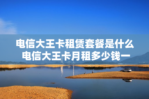 电信大王卡租赁套餐是什么 电信大王卡月租多少钱一月