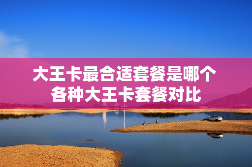 大王卡最合适套餐是哪个 各种大王卡套餐对比