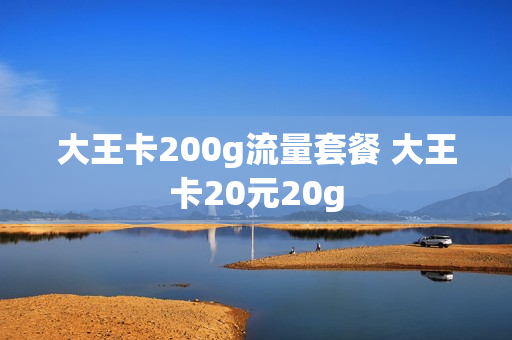 大王卡200g流量套餐 大王卡20元20g