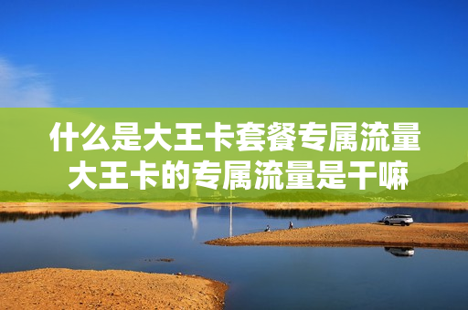 什么是大王卡套餐专属流量 大王卡的专属流量是干嘛的
