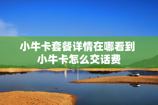 小牛卡套餐详情在哪看到 小牛卡怎么交话费