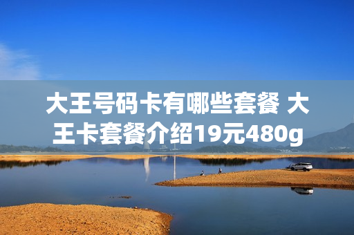 大王号码卡有哪些套餐 大王卡套餐介绍19元480g