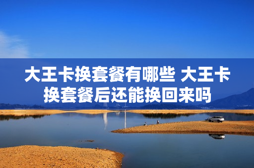 大王卡换套餐有哪些 大王卡换套餐后还能换回来吗