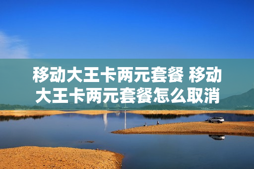 移动大王卡两元套餐 移动大王卡两元套餐怎么取消