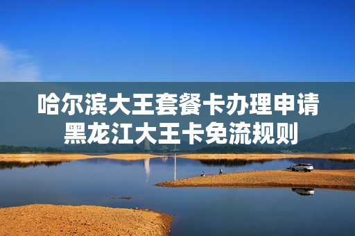 哈尔滨大王套餐卡办理申请 黑龙江大王卡免流规则
