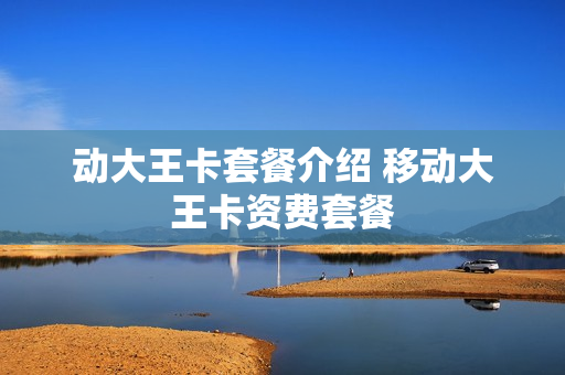 动大王卡套餐介绍 移动大王卡资费套餐