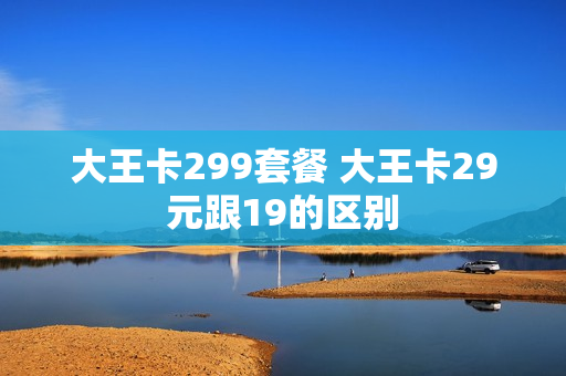 大王卡299套餐 大王卡29元跟19的区别