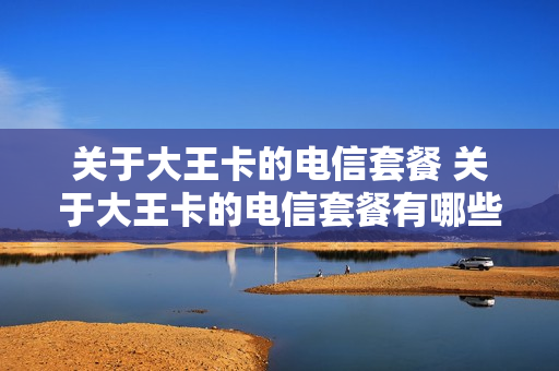 关于大王卡的电信套餐 关于大王卡的电信套餐有哪些