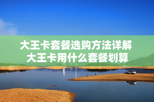 大王卡套餐选购方法详解 大王卡用什么套餐划算