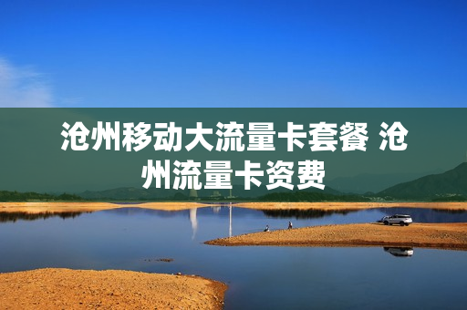 沧州移动大流量卡套餐 沧州流量卡资费