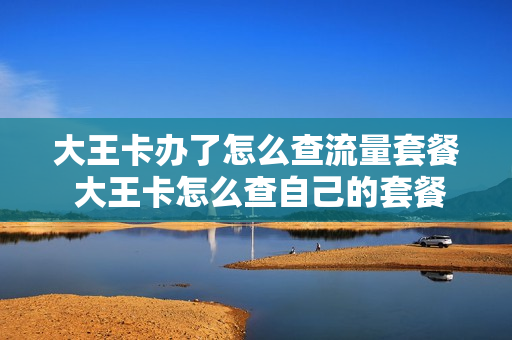 大王卡办了怎么查流量套餐 大王卡怎么查自己的套餐