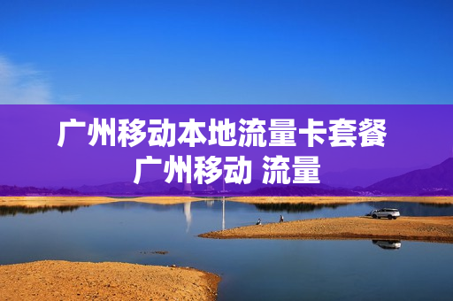广州移动本地流量卡套餐 广州移动 流量