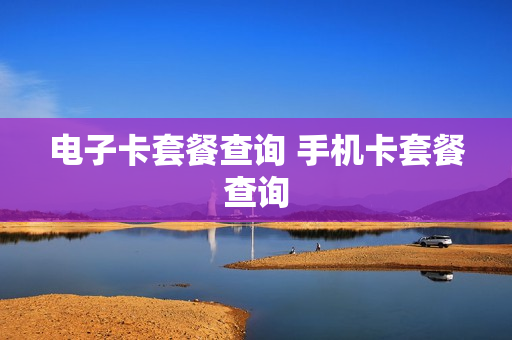 电子卡套餐查询 手机卡套餐查询