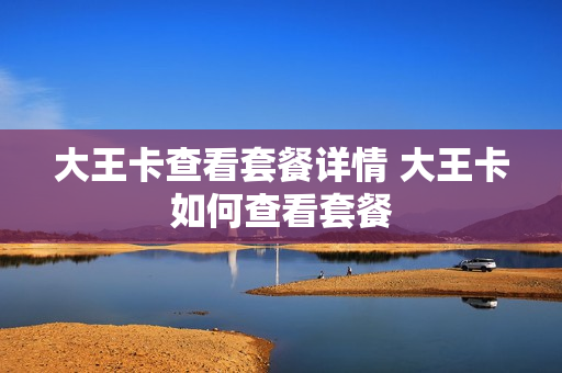 大王卡查看套餐详情 大王卡如何查看套餐