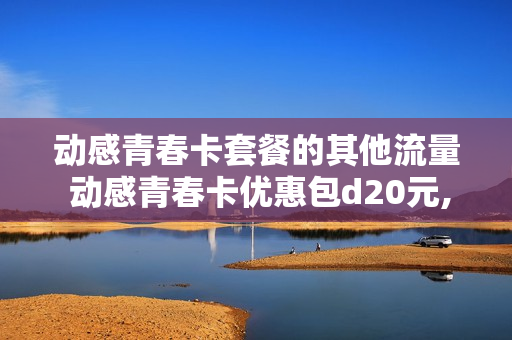 动感青春卡套餐的其他流量 动感青春卡优惠包d20元,48个月其他流量