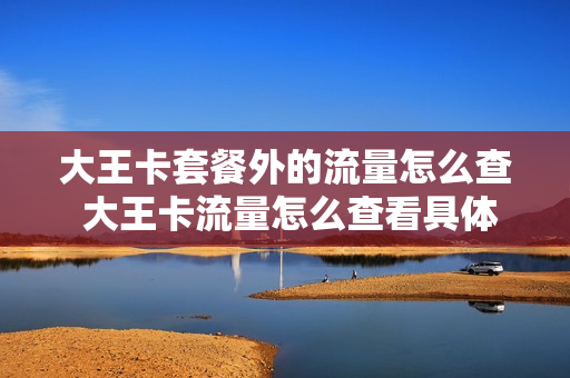 大王卡套餐外的流量怎么查 大王卡流量怎么查看具体用在哪