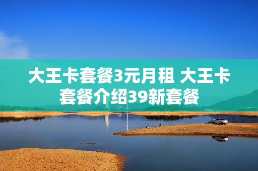 大王卡套餐3元月租 大王卡套餐介绍39新套餐