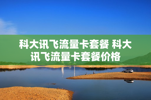 科大讯飞流量卡套餐 科大讯飞流量卡套餐价格